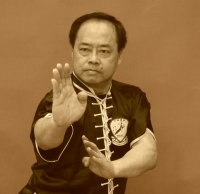 Sifu Lee Kam Wing / Grossmeister