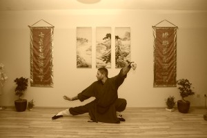 Sifu Peter Frömke, Tai Chi Chuan